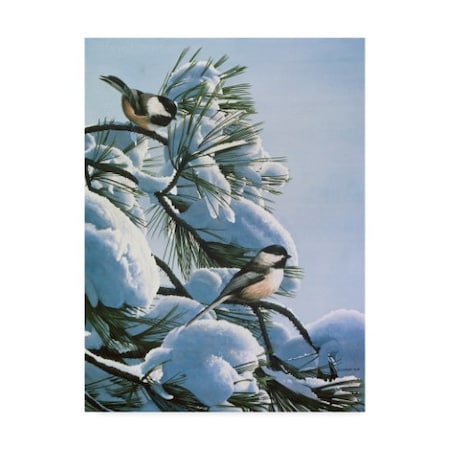 Ron Parker 'Snow On The Pine Chickadees' Canvas Art,35x47